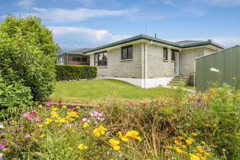 Photo of property in 521b Otumoetai Road, Otumoetai, Tauranga, 3110