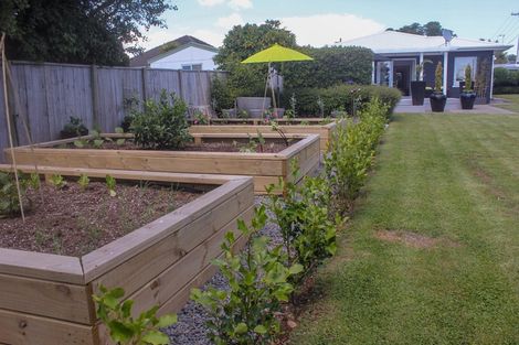 Photo of property in 293a Carrington Street, Vogeltown, New Plymouth, 4310