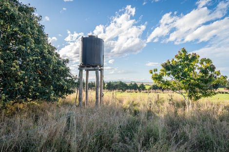 Photo of property in 38 Daniels Road, Normanby, Timaru, 7971