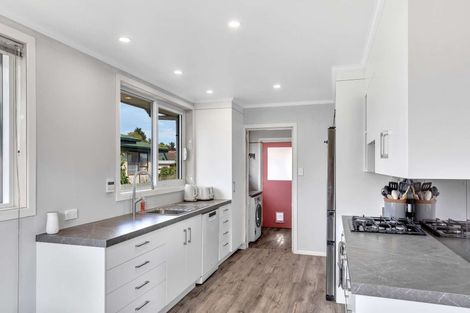 Photo of property in 19 Railway Esplanade, East Gore, Gore, 9710