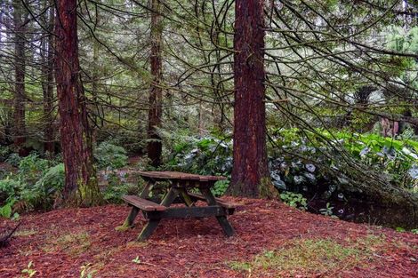 Photo of property in 14 Tupelo Place, Ohauiti, Tauranga, 3112