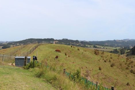 Photo of property in 113c Marua Road, Hikurangi, 0181