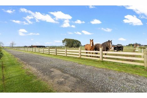 Photo of property in 390 Mill Road North, Myross Bush, Invercargill, 9876