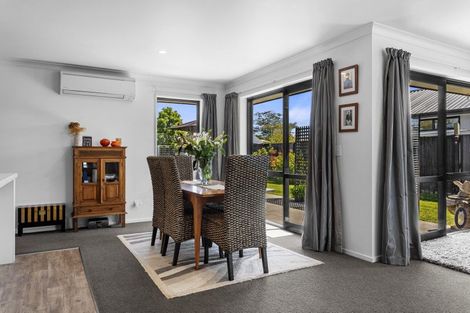 Photo of property in 25 Wineberry Avenue, Amberley, 7410