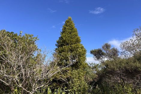 Photo of property in 55 M Greenwood Road, Leigh, 0972