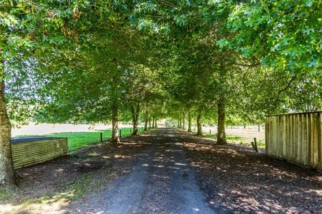 Photo of property in 49 Kaimarama Road, Kaimarama, Whitianga, 3591