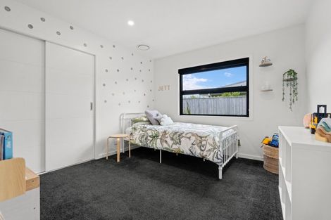 Photo of property in 58 Gimson Street, Solway, Masterton, 5810