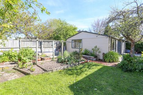 Photo of property in 45 Rountree Street, Upper Riccarton, Christchurch, 8041