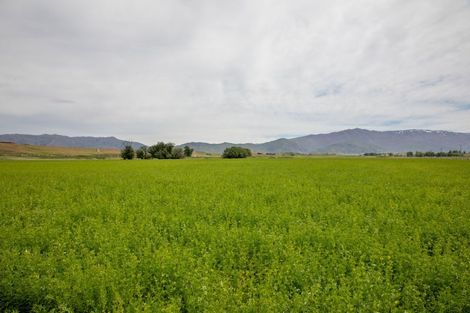 Photo of property in 57 Golden Road, Springvale, Alexandra, 9393