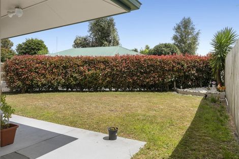 Photo of property in 95 Maungatapu Road, Maungatapu, Tauranga, 3112
