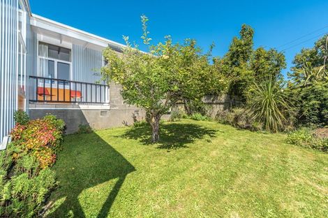 Photo of property in 96 Mount View Road, Bastia Hill, Whanganui, 4500