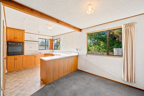 Photo of property in 6 Plantation Road, Wanaka, 9305
