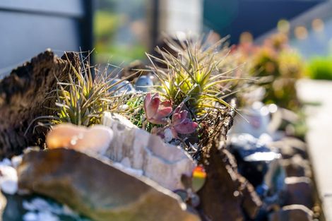 Photo of property in 23 Calla Street, Maungaturoto, 0520