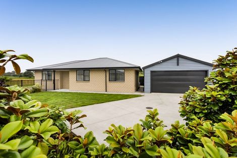 Photo of property in 20 Papawhero Drive, Bell Block, New Plymouth, 4312