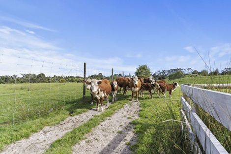 Photo of property in 132b Gatfield Road, Kaukapakapa, 0873