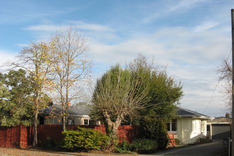 Photo of property in 96 Princes Street, Netherby, Ashburton, 7700