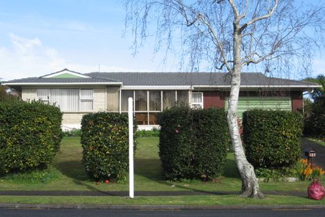 Photo of property in 123 Elliot Street, Pahurehure, Papakura, 2113