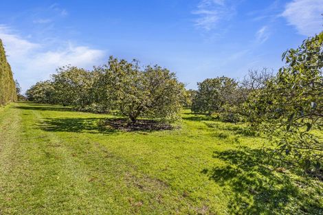 Photo of property in 105 Mairetahi Road, South Head, Helensville, 0874