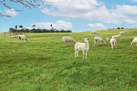 Photo of property in 210g Pukenui Road, Kaiwaka, 0573