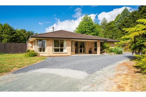 Photo of property in 337 Ryan Road, Te Arai, Wellsford, 0975