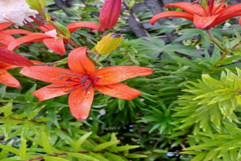 Photo of property in 150 Kings Road, Leithfield, 7481