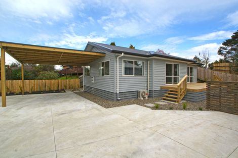 Photo of property in 1145a Heaphy Terrace, Fairfield, Hamilton, 3214