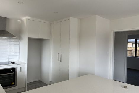 Photo of property in 25 Princes Street, Levin, 5510