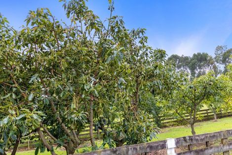 Photo of property in 800 Tuhikaramea Road, Ngahinapouri, Hamilton, 3290