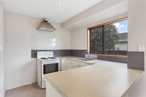 Photo of property in 1/168a Lyttelton Street, Spreydon, Christchurch, 8024