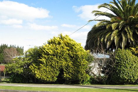 Photo of property in 10 Dalrymple Place, Marton, 4710