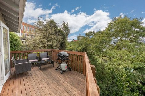 Photo of property in 44 City Road, Roslyn, Dunedin, 9010