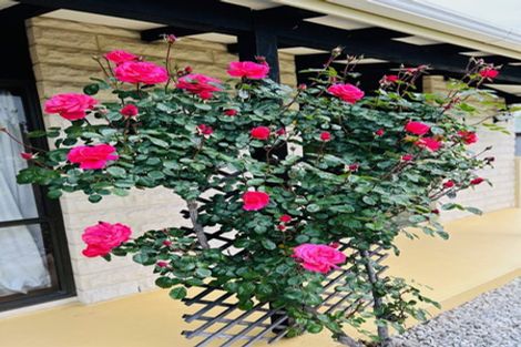 Photo of property in 9 Kantara Lane, Somerfield, Christchurch, 8024