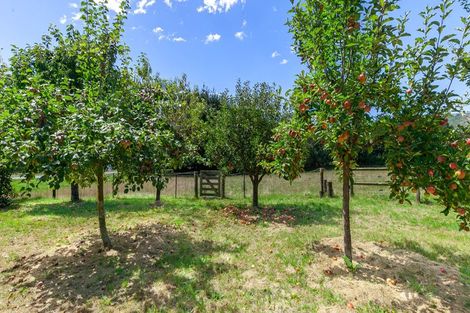 Photo of property in 193 Kohatu-kawatiri Highway, Motupiko, Nelson, 7072