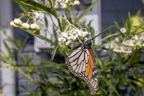 Photo of property in 2 Kanawa Street, Waikanae, 5036