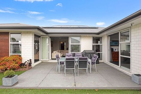 Photo of property in 133 Jimmy Adams Terrace, Lincoln, 7608