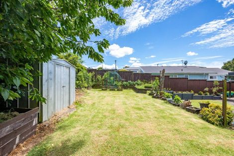 Photo of property in 127 Fairview Street, Chartwell, Hamilton, 3210