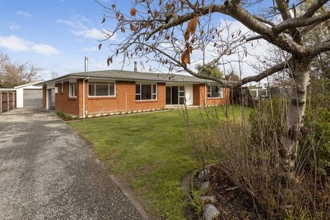 Photo of property in 14 Manor Place, Redwoodtown, Blenheim, 7201