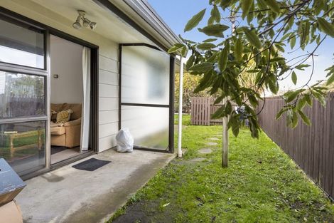 Photo of property in 118 Cleghorn Street, Redwoodtown, Blenheim, 7201