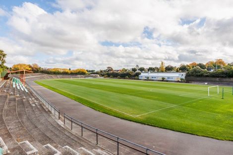 Photo of property in 45 Frederick Street, Terrace End, Palmerston North, 4410