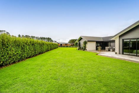 Photo of property in 26 Mercade Close, Stratford, 4332