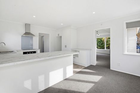 Photo of property in 49 Percy Street, Blenheim, 7201