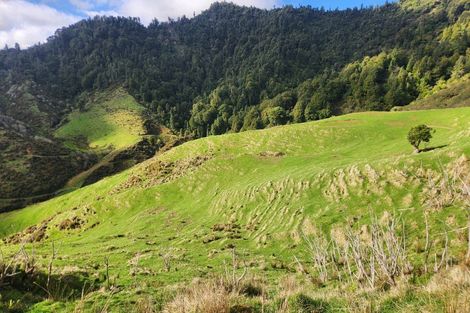 Photo of property in 987 Mangaehu Road, Puniwhakau, Stratford, 4392