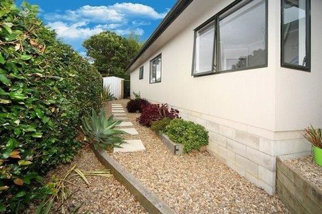 Photo of property in 14 Varlene Terrace, Forrest Hill, Auckland, 0620