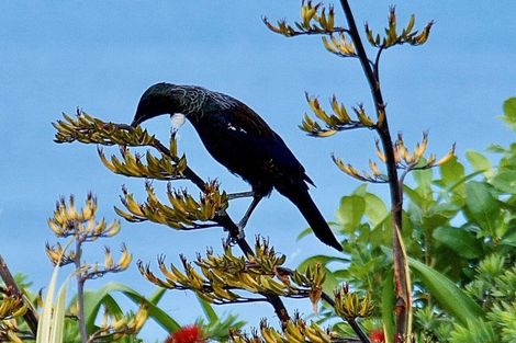 Photo of property in 11 Kaimata Road, Bay View, Napier, 4182