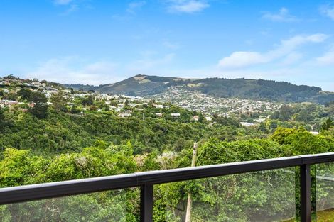 Photo of property in 53 Braeview Crescent, Maori Hill, Dunedin, 9010