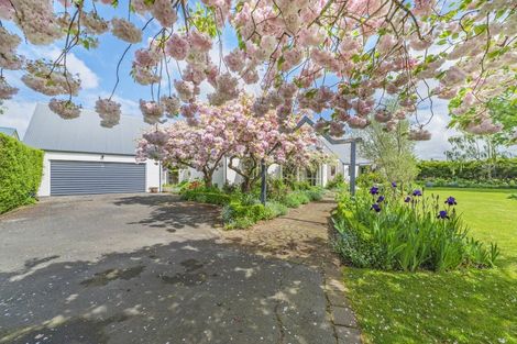 Photo of property in 11 Mountain View Place, Leeston, 7632