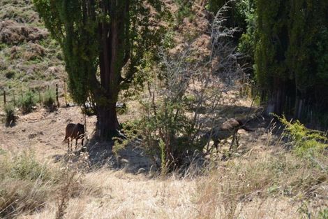 Photo of property in 36 Burtts Road, Durie Hill, Whanganui, 4500