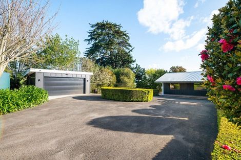 Photo of property in 229 Norwegian Road, Rotoorangi, Cambridge, 3495