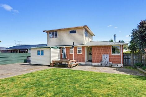 Photo of property in 3 Armagh Street, Levin, 5510