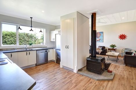 Photo of property in 163 Union Street, Milton, 9220